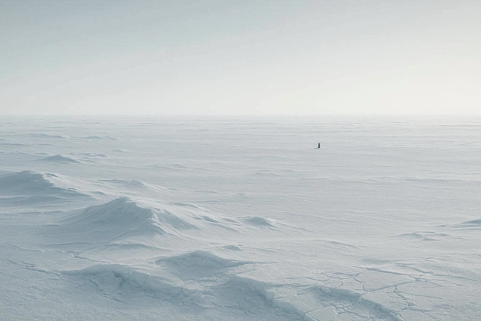 A lone figure on a vast wind-scoured plain