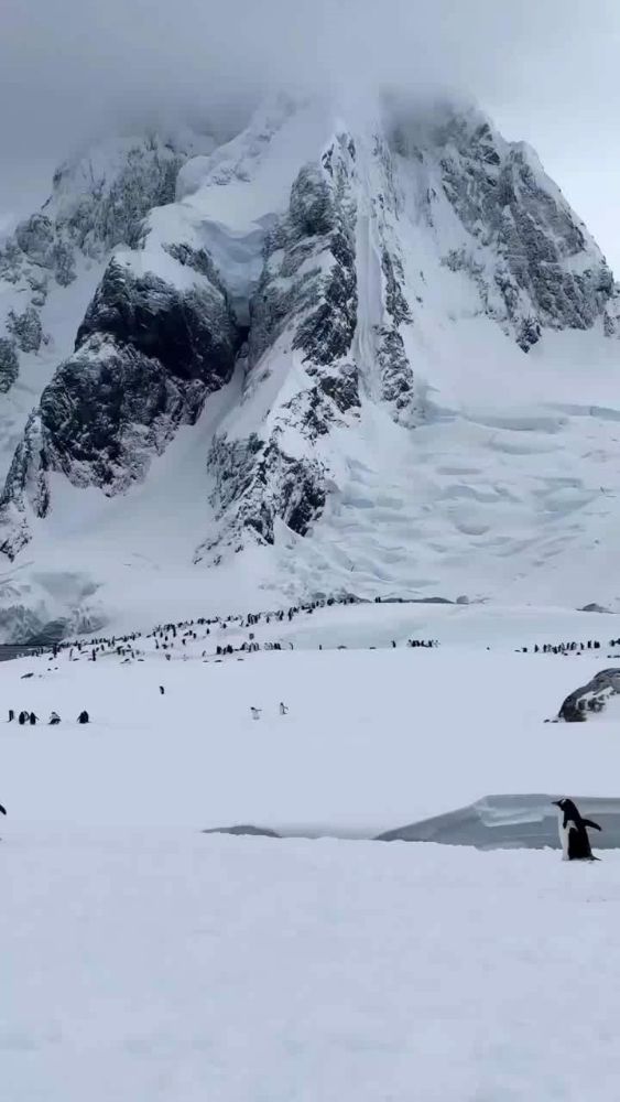 Rock peak above a snow plain