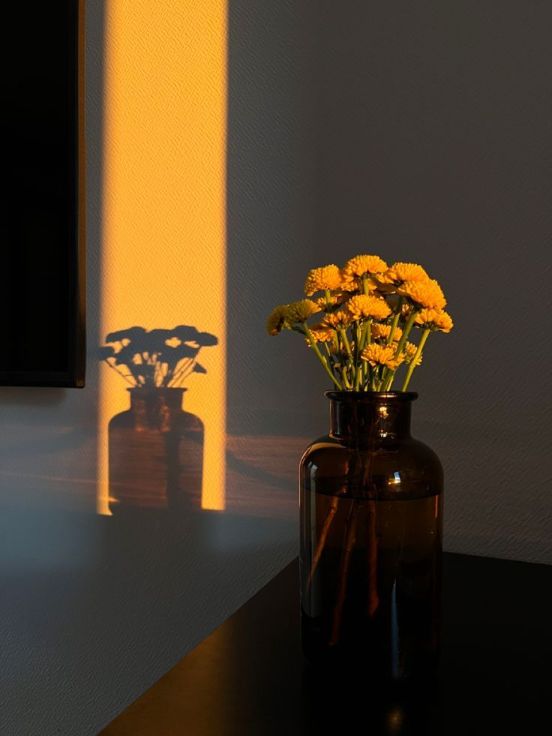 Flowers in an amber vase against a strip of sun