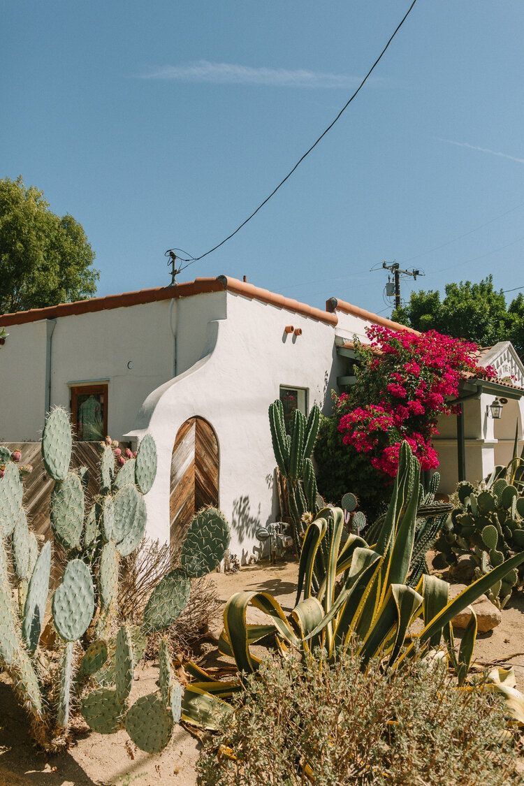 White stucco house with cactus garden and bougainvillea