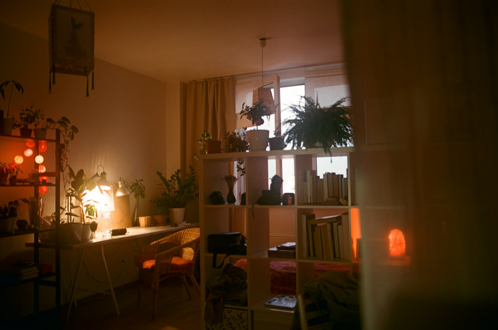 Warm study corner with shelves and plants