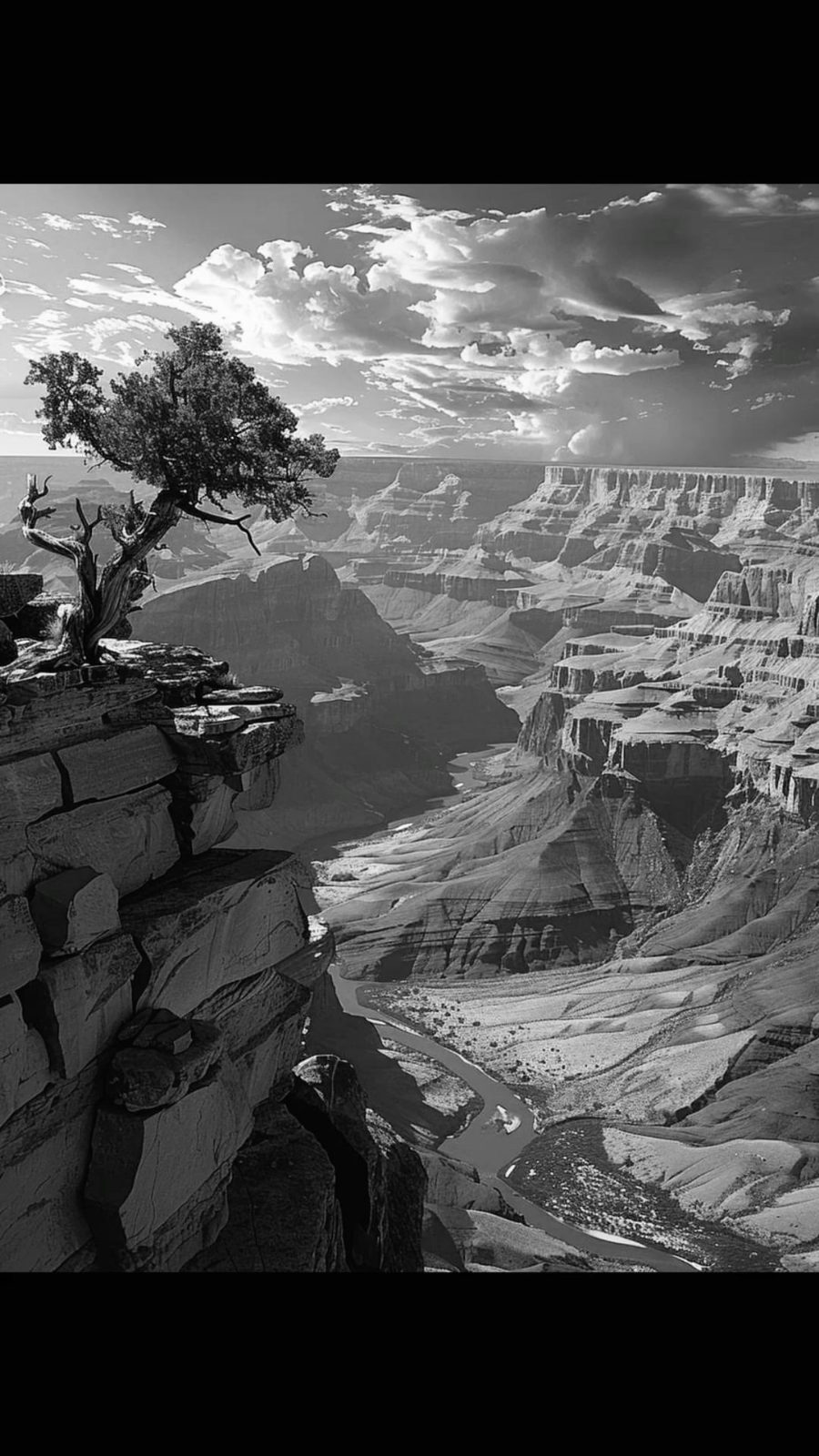 Juniper on a ledge above the canyon