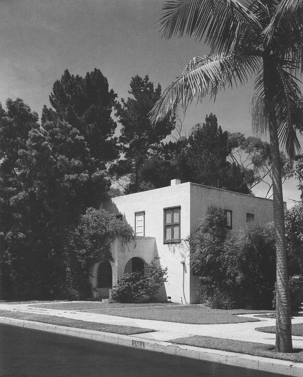White stucco house behind palms