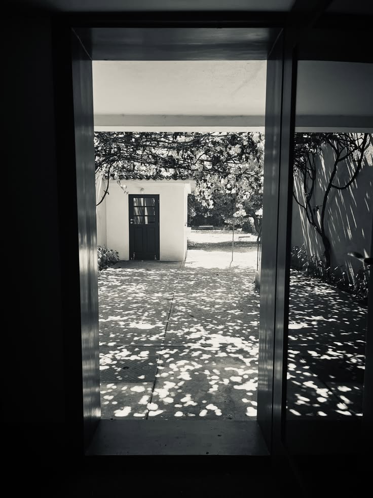 Garden seen through a dark doorway