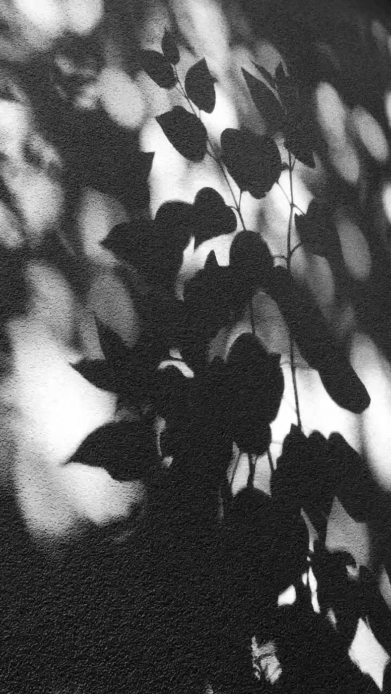 <겨울 연습곡> 사진 8
