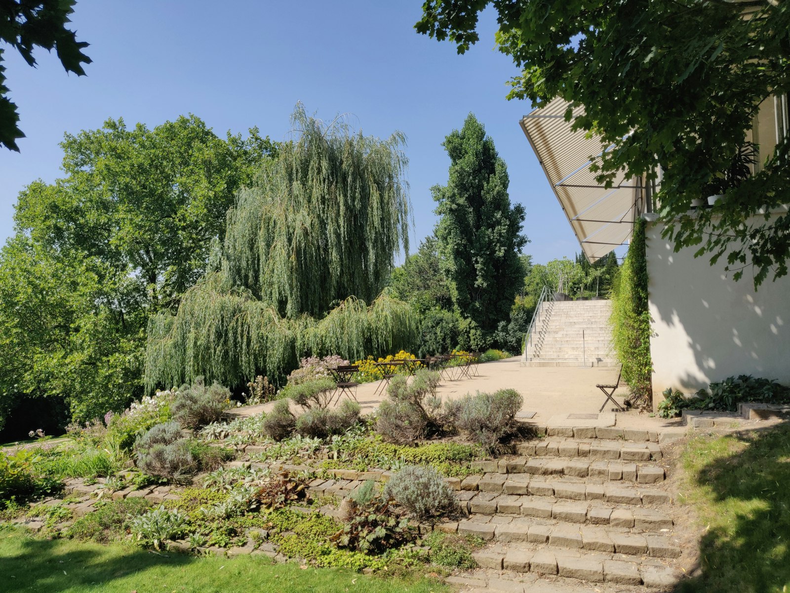Greenbelt property 8
