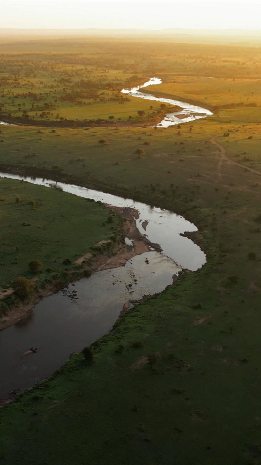 River from the air