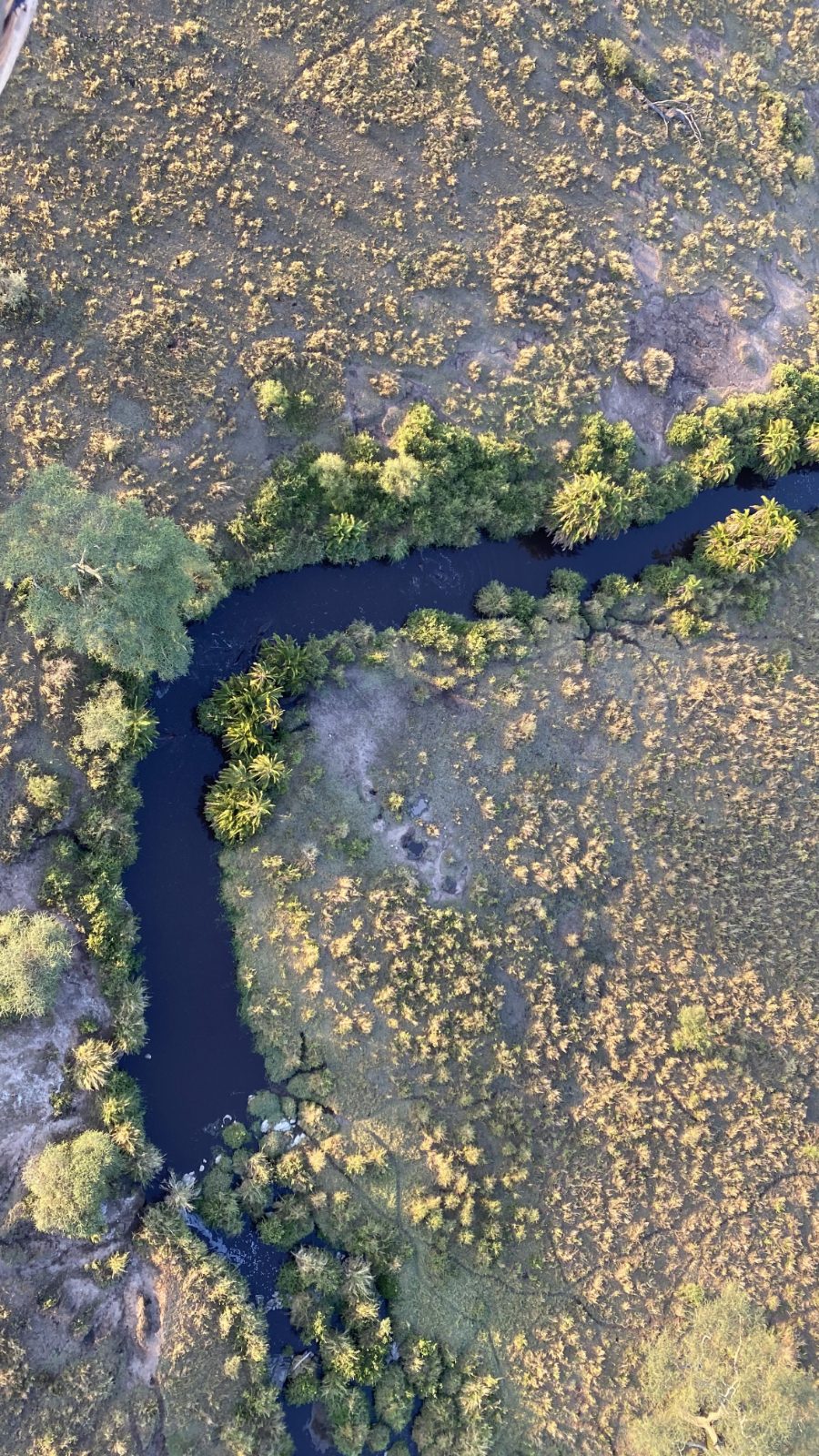 River from the air
