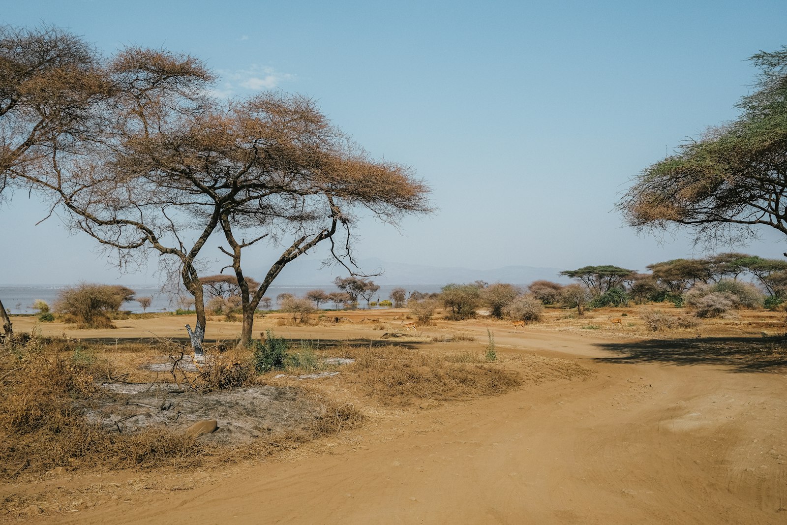 Field work on the reserve
