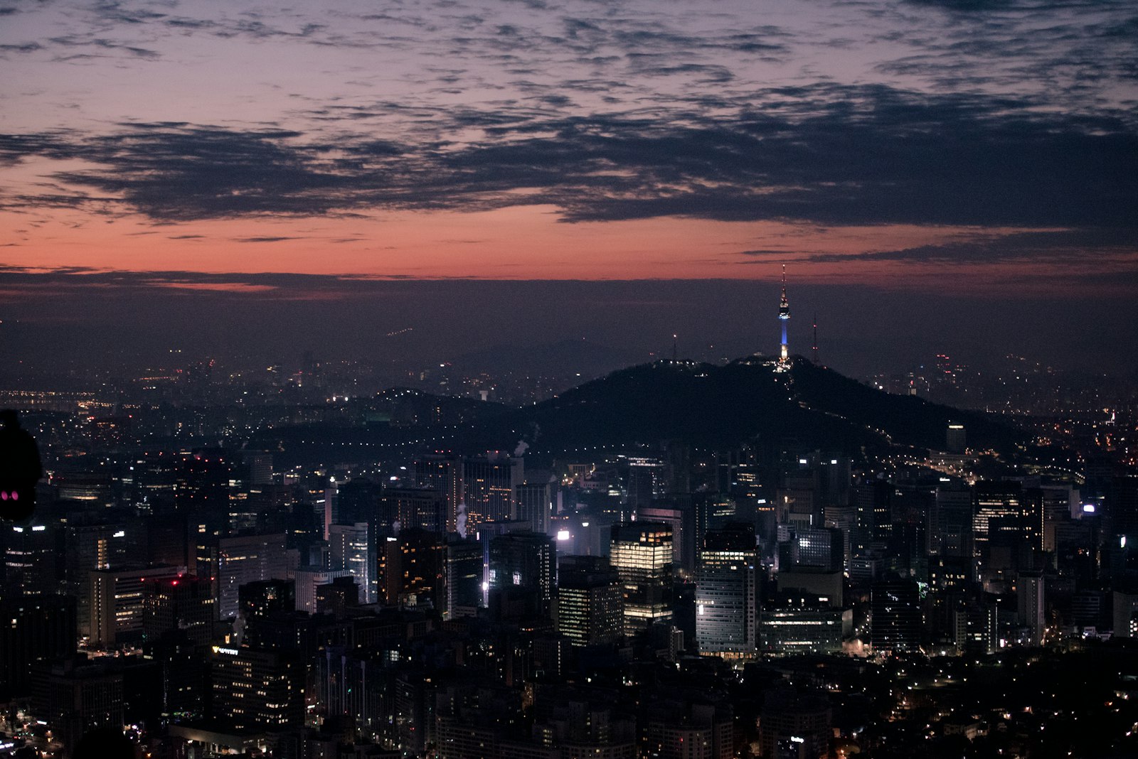 여름 저녁 산책 사진전