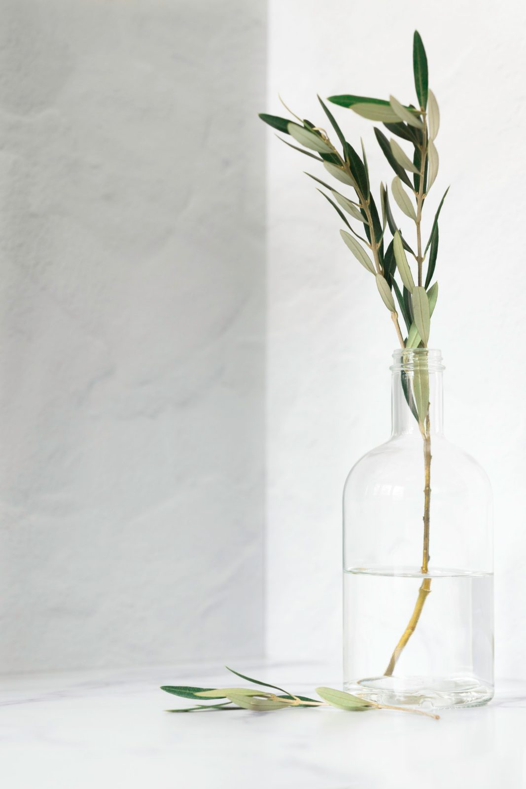 Domaine Coteau — work by kvlo