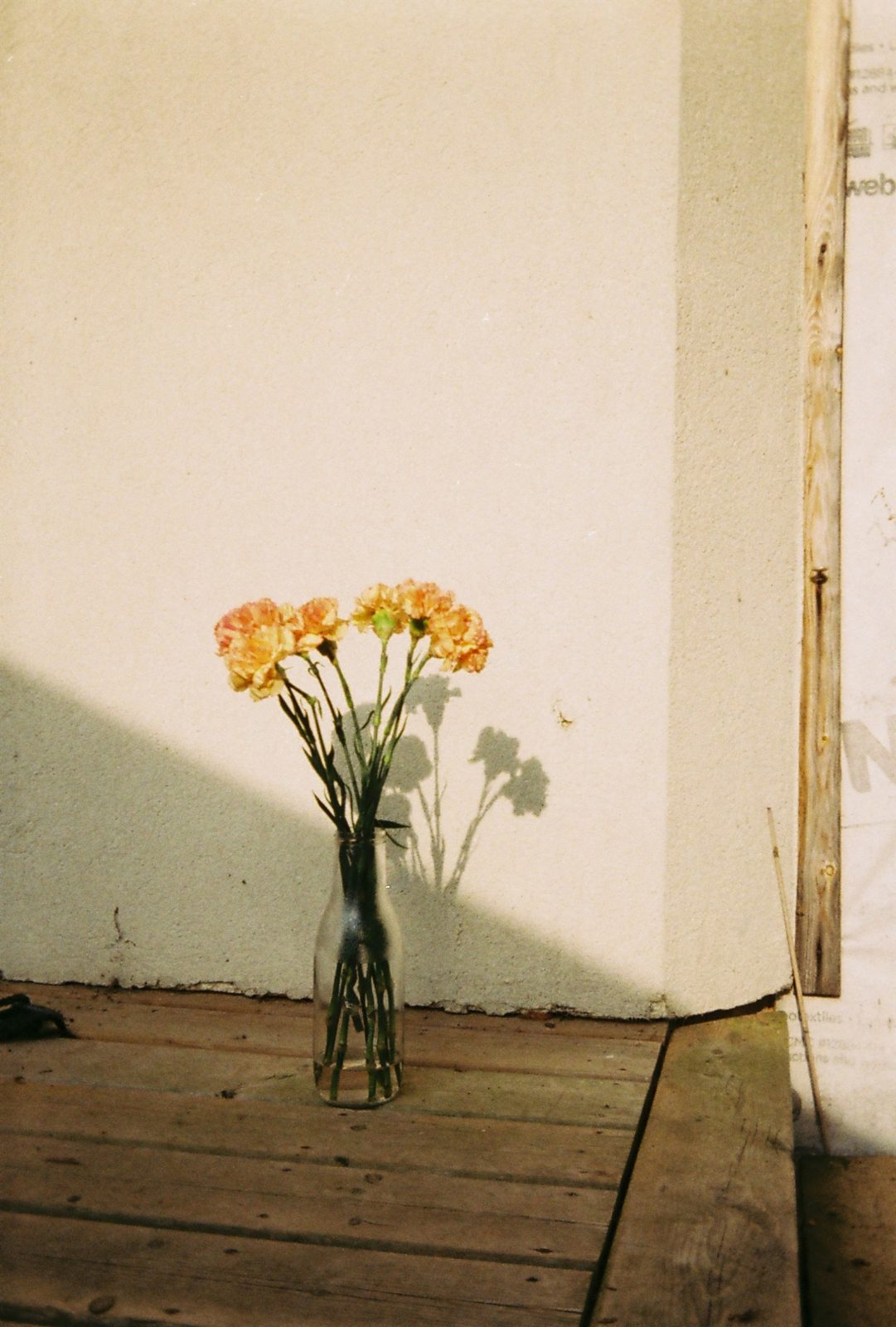 Domaine Coteau — work by kvlo