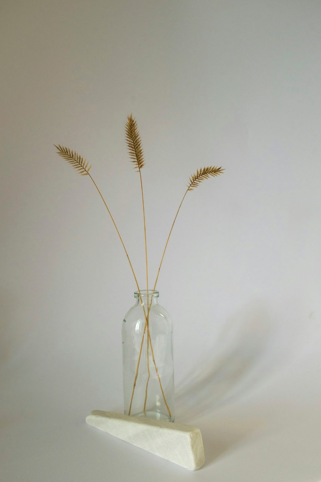 Rinde Drinks, image 15