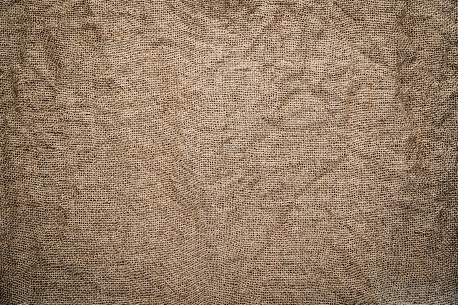 Fondation Gué, image 12