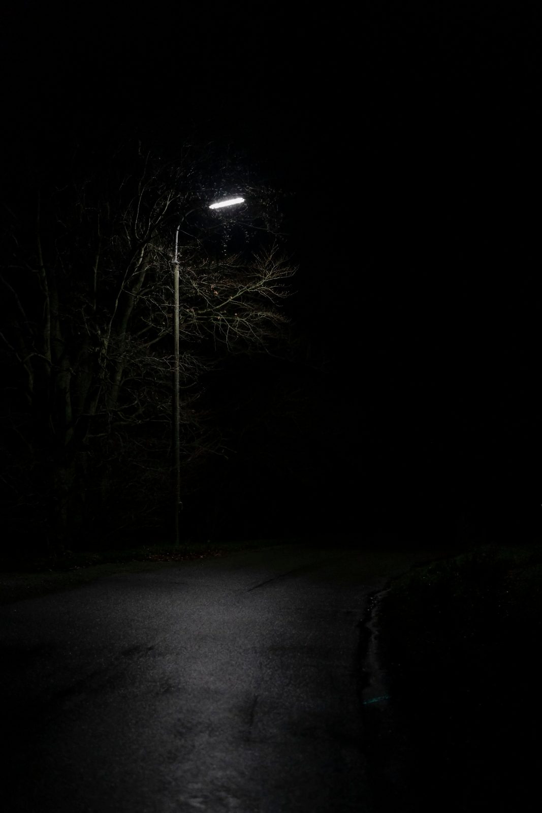 Lumen Nord — work by kvlo