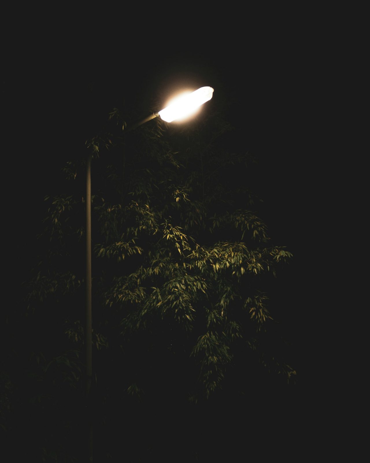 Lumen Nord, image 17