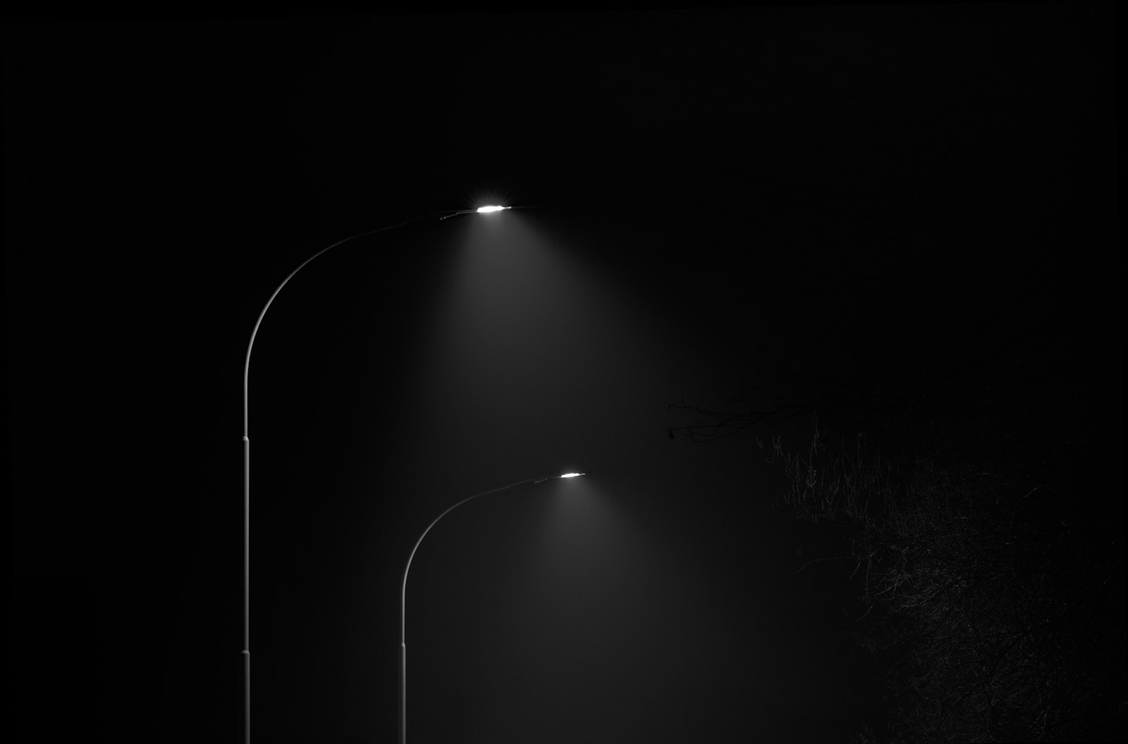 Lumen Nord, image 8