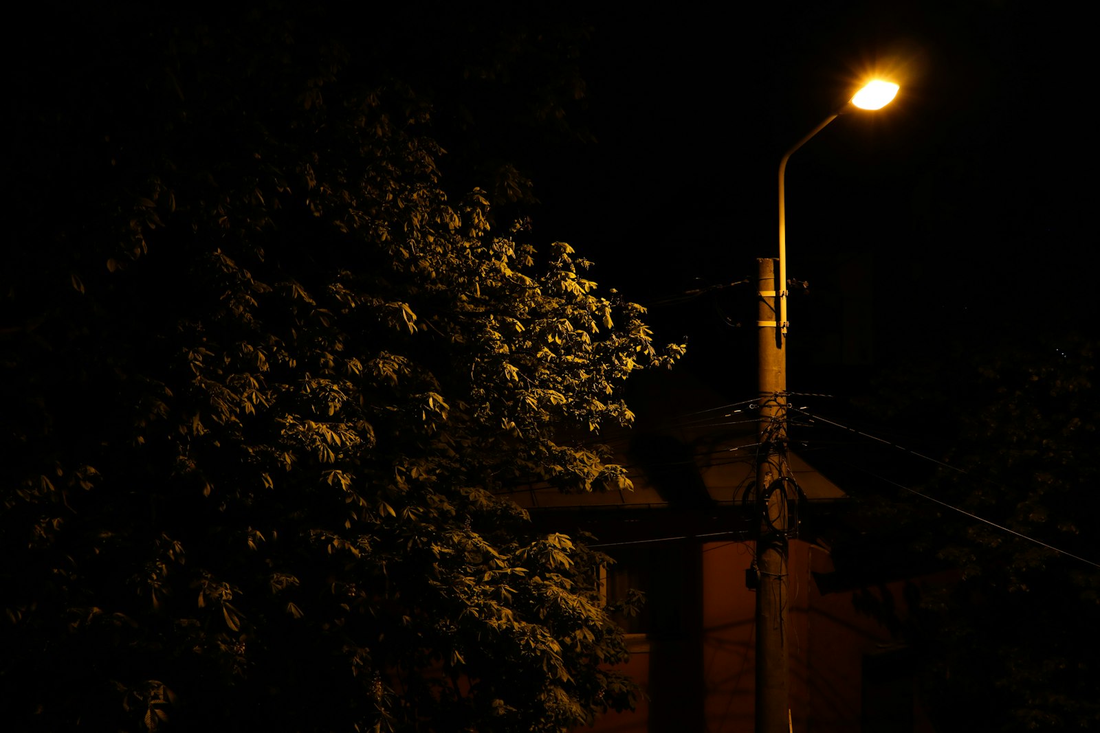 Lumen Nord, image 11