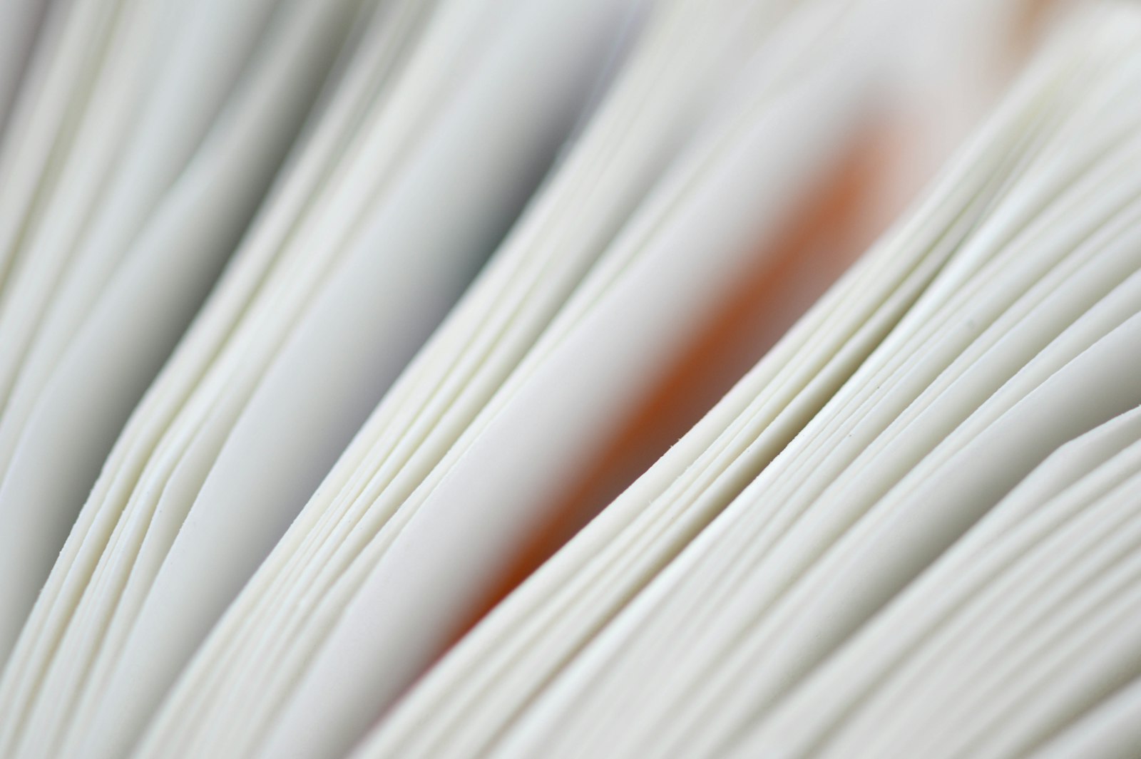 Vergé Paper, image 8