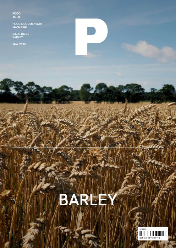 Tolde Plate 30호 BARLEY 표지