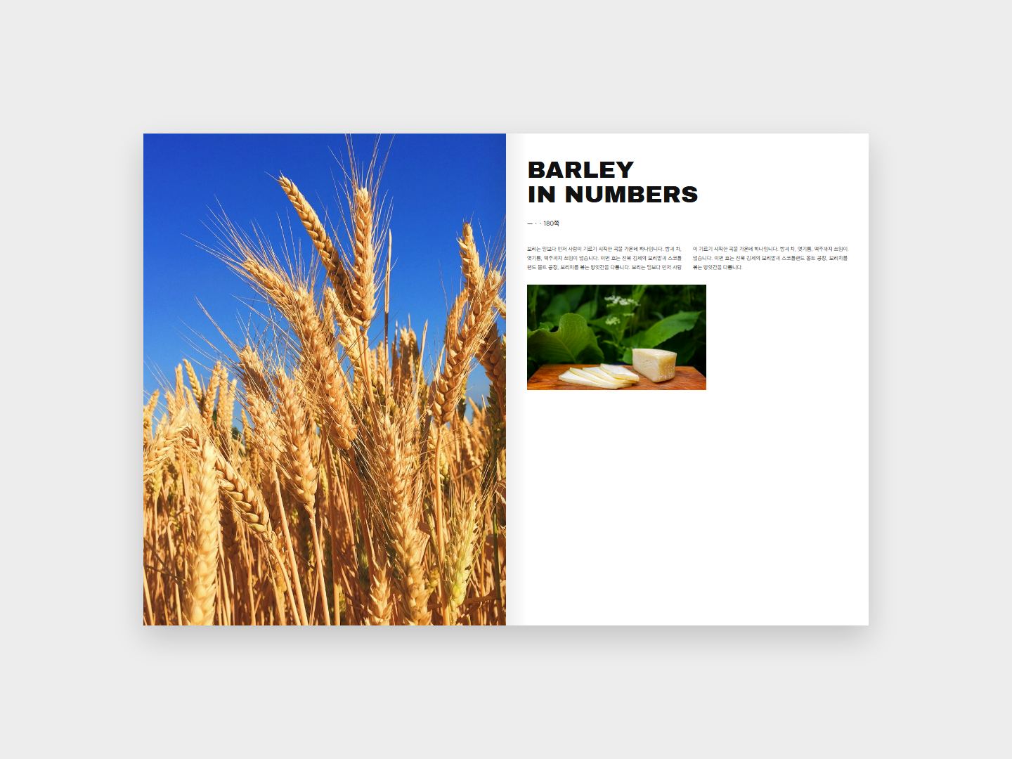 BARLEY 본문 지면