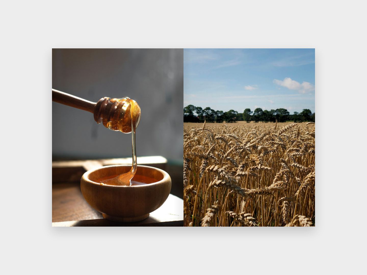 BARLEY 사진 지면