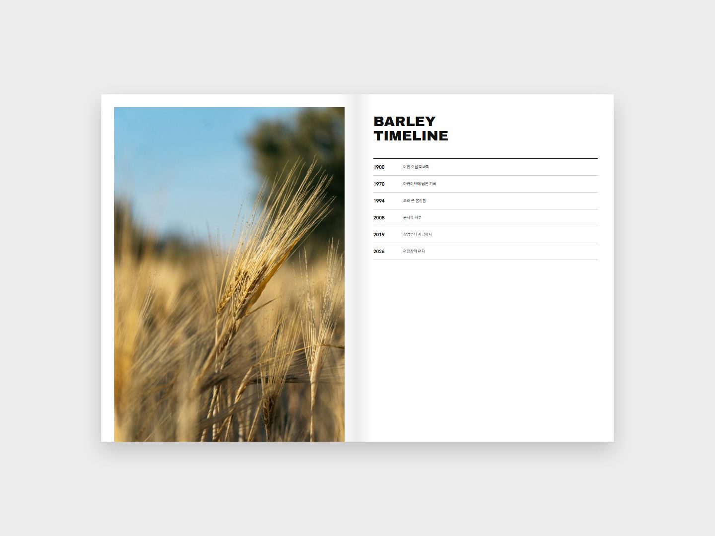 BARLEY 연표 지면