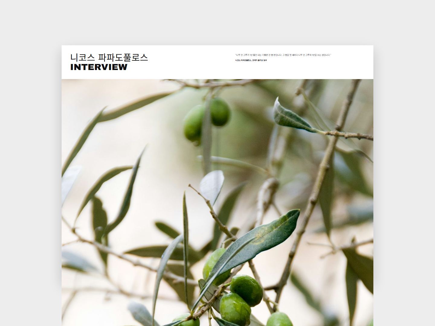 OLIVE 인터뷰 지면