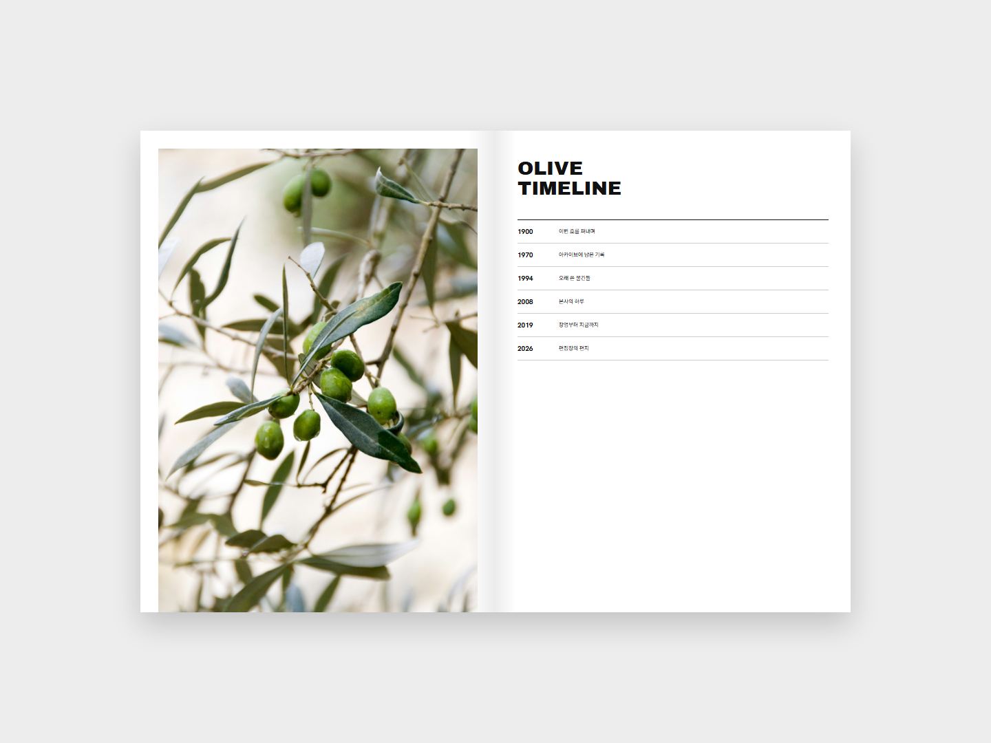 OLIVE 연표 지면