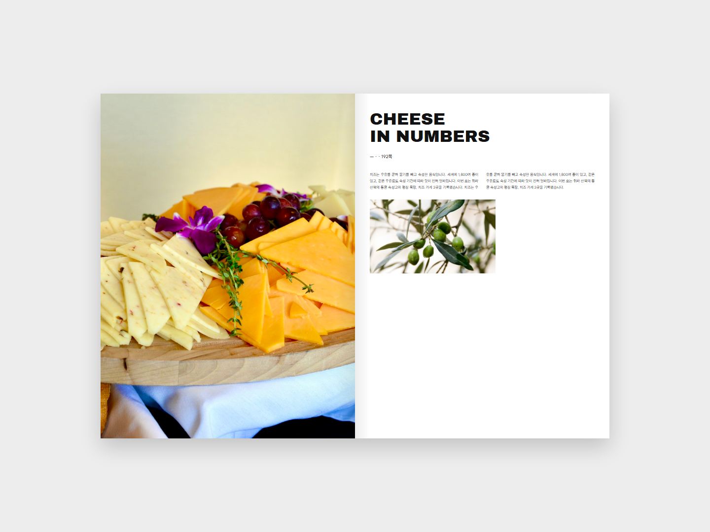 CHEESE 본문 지면