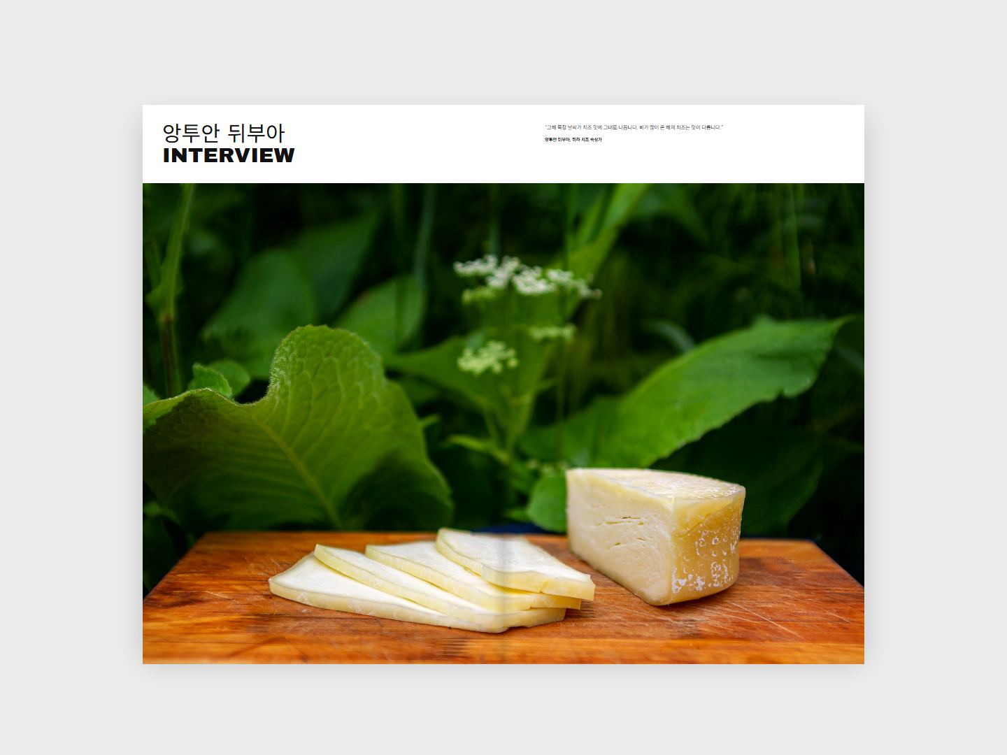 CHEESE 인터뷰 지면