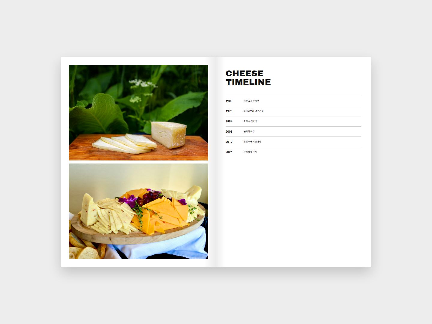 CHEESE 연표 지면