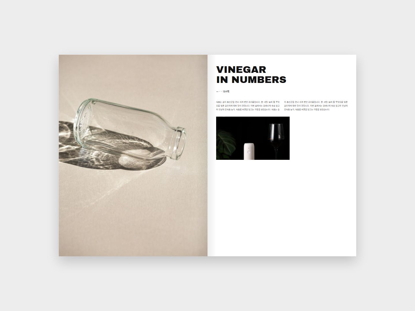 VINEGAR 본문 지면