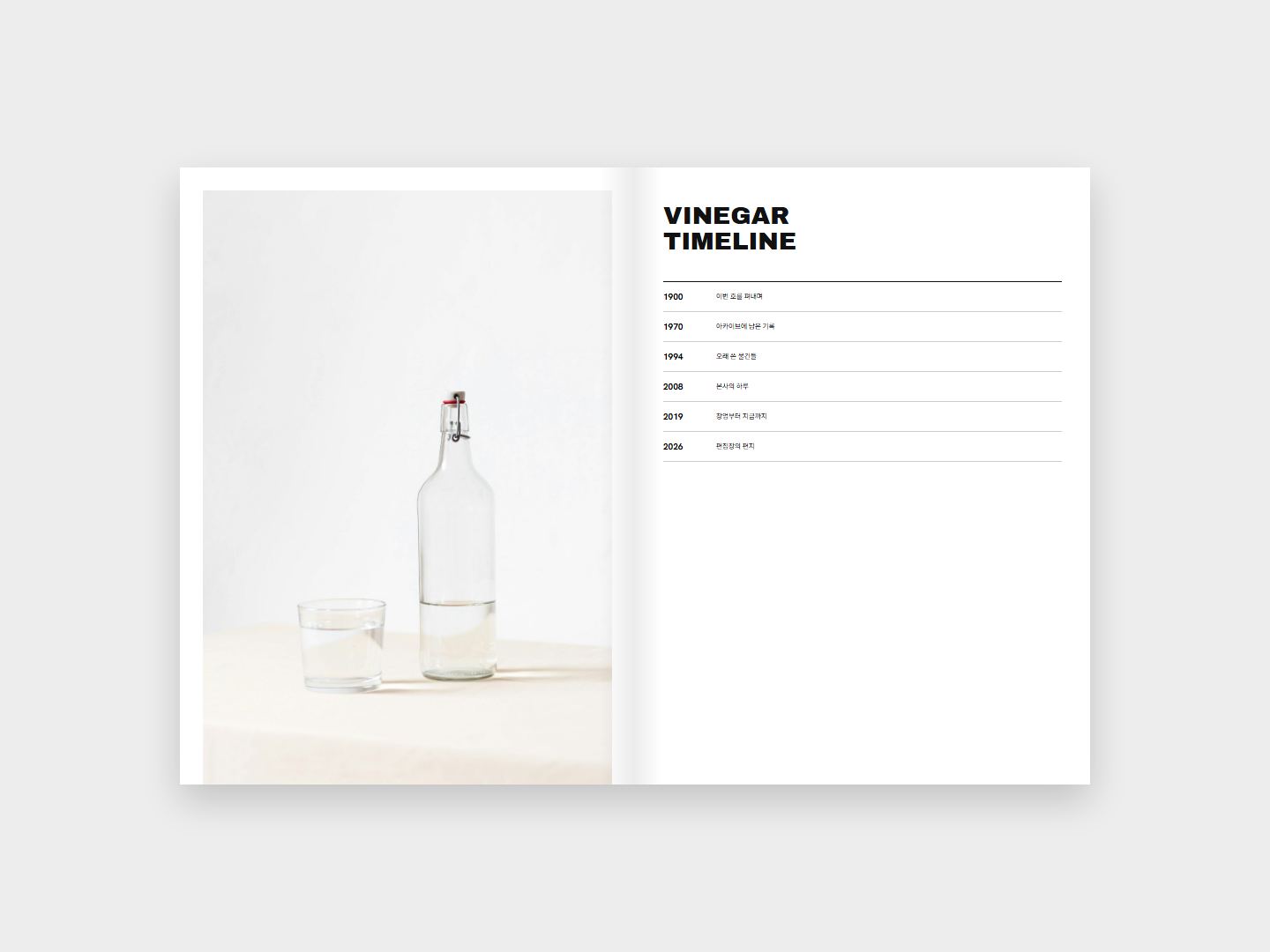 VINEGAR 연표 지면