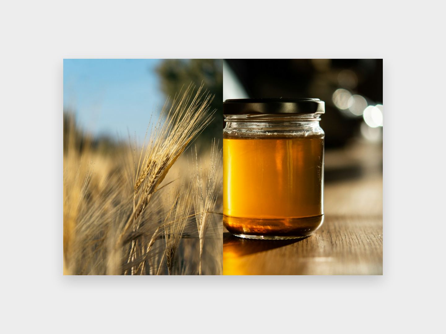 HONEY 사진 지면