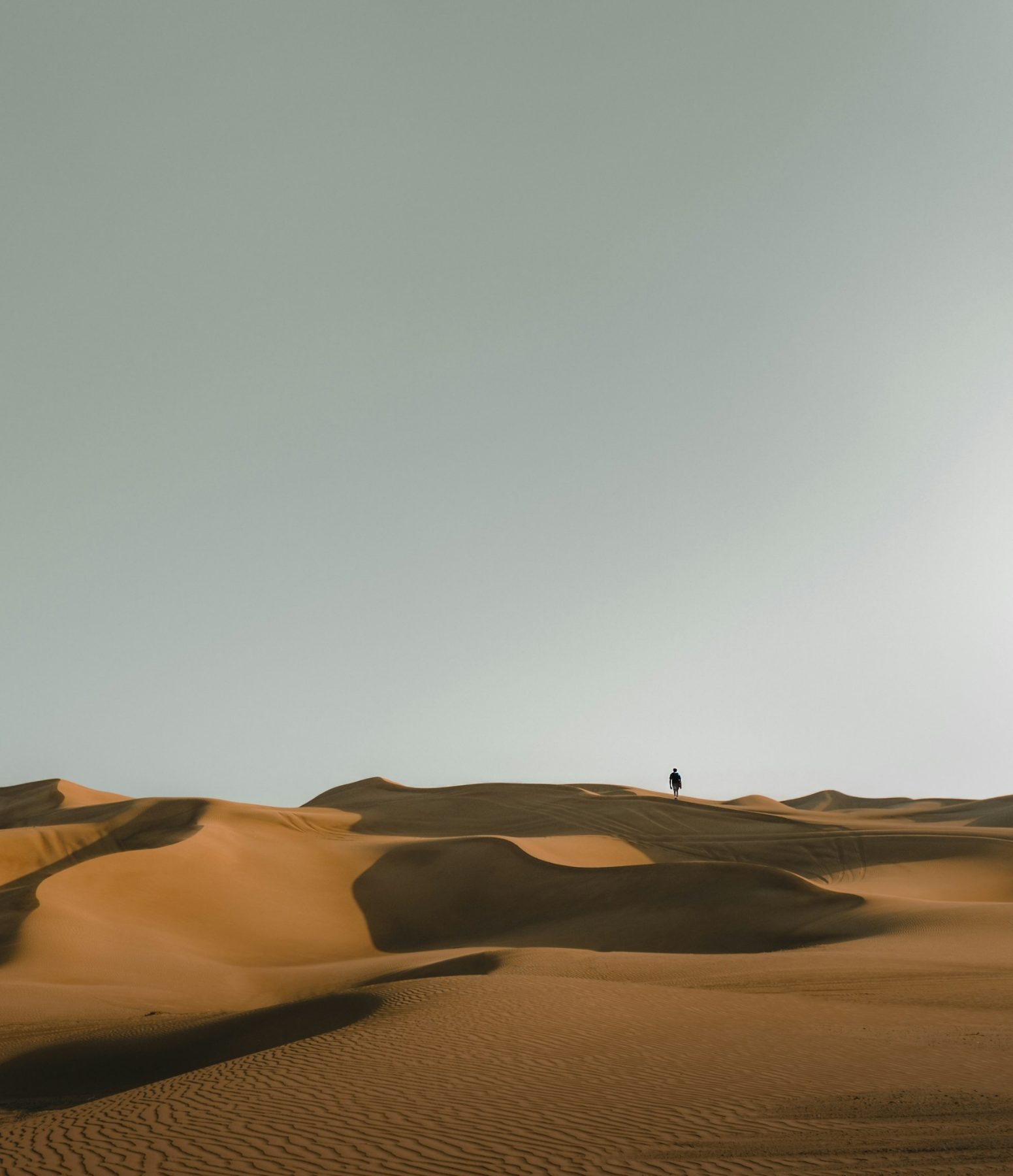 Walker crossing a dune field