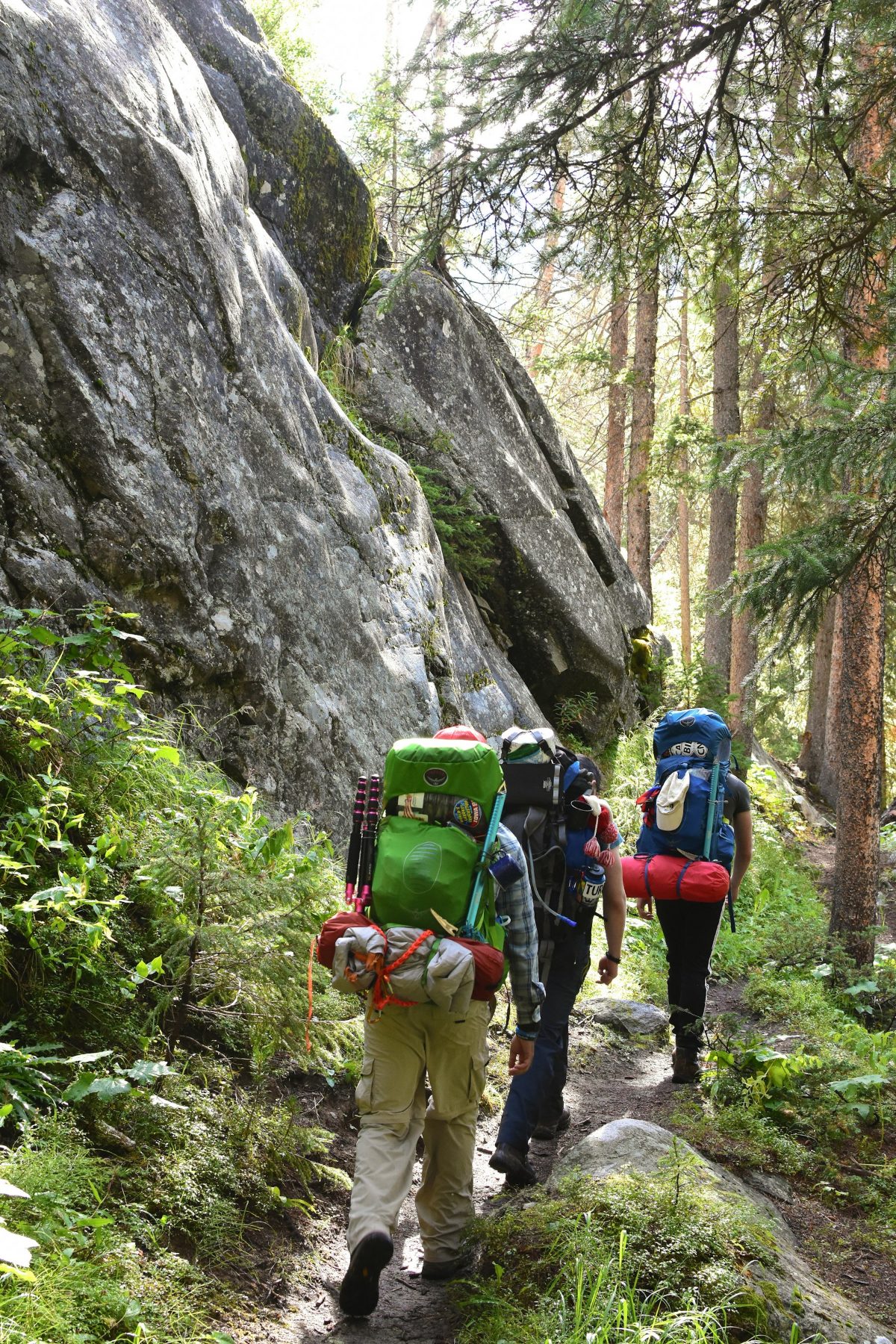 Three hikers with large packs on a forest trail