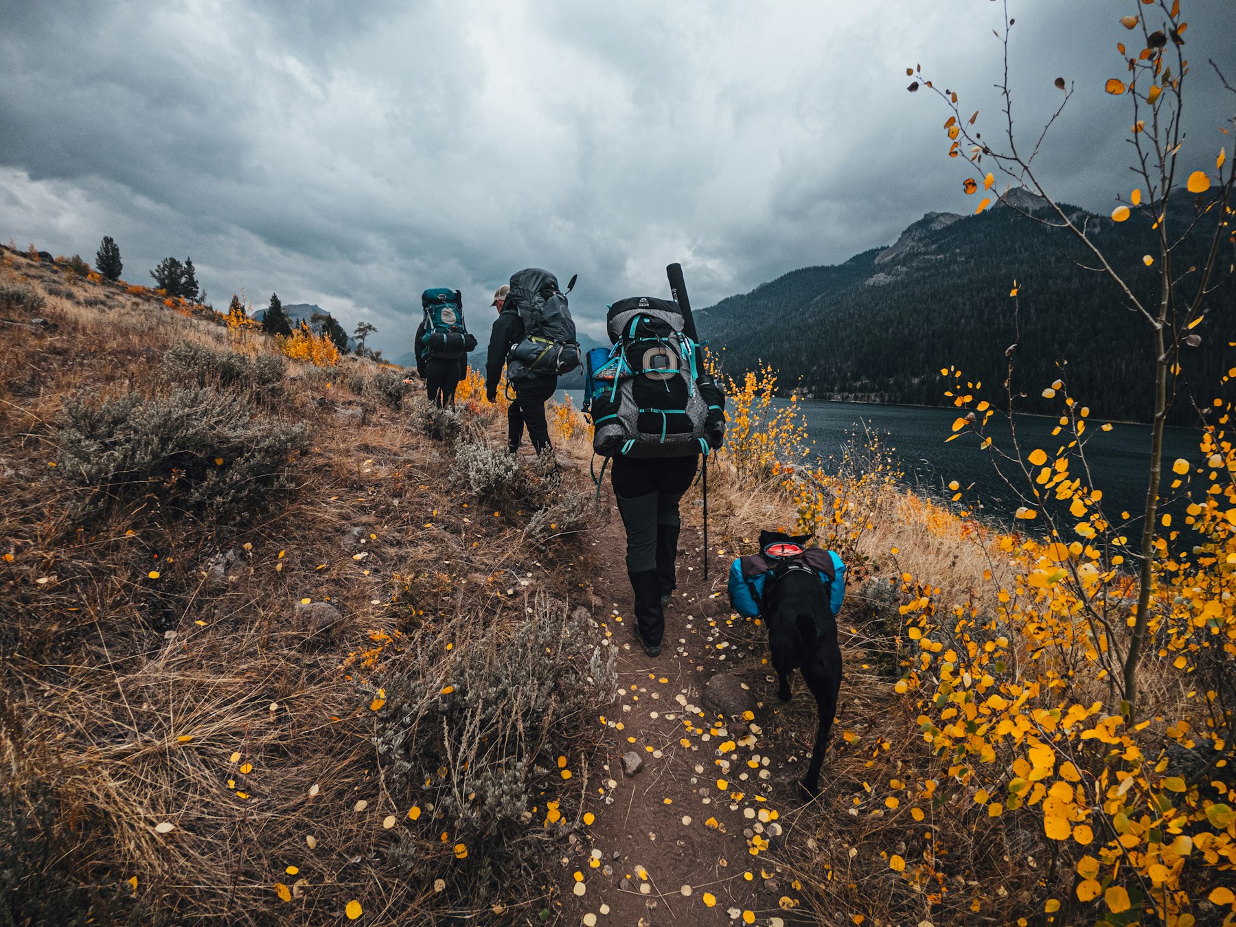 Group of hikers on an autumn trail