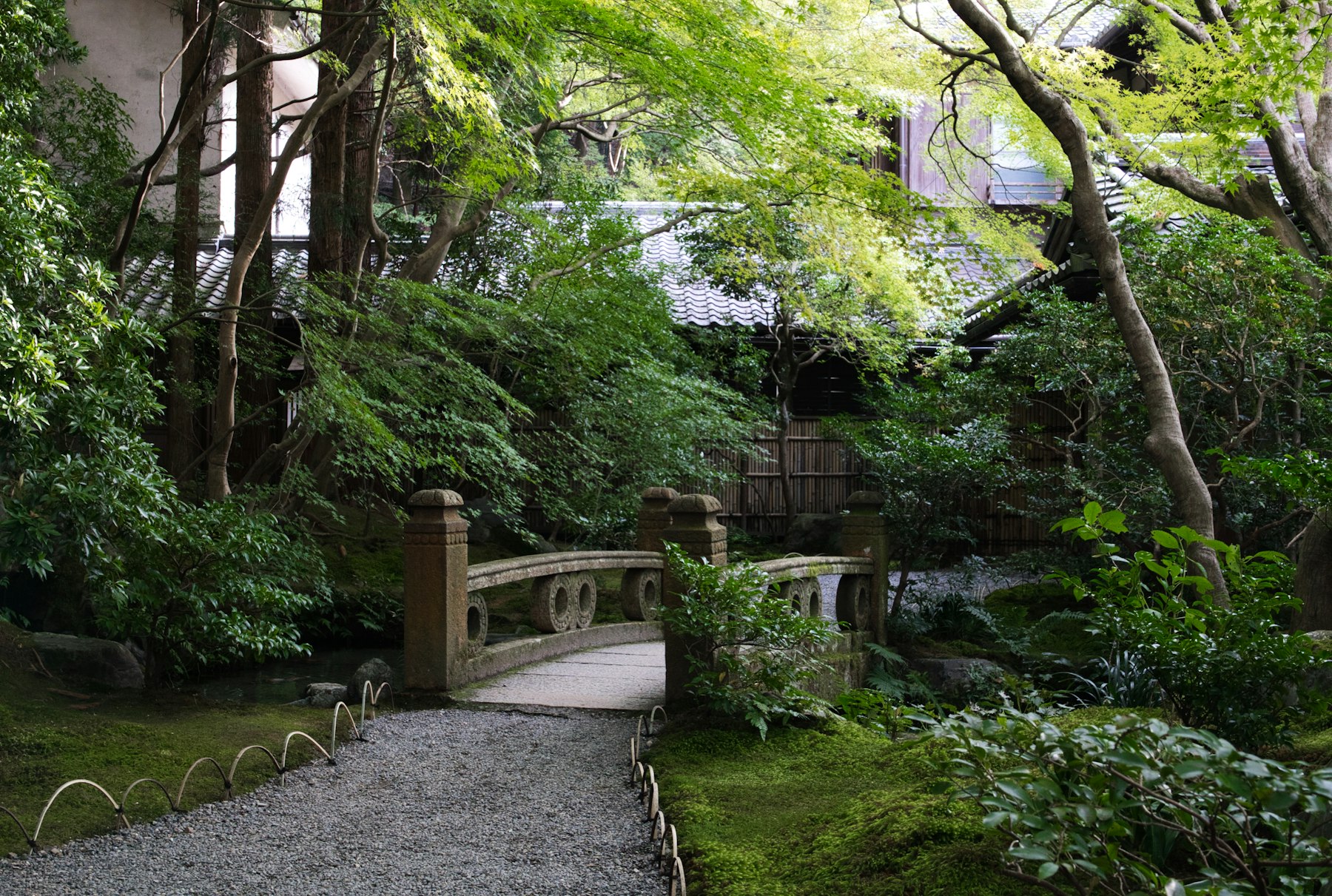 Kyoto Garden Evening