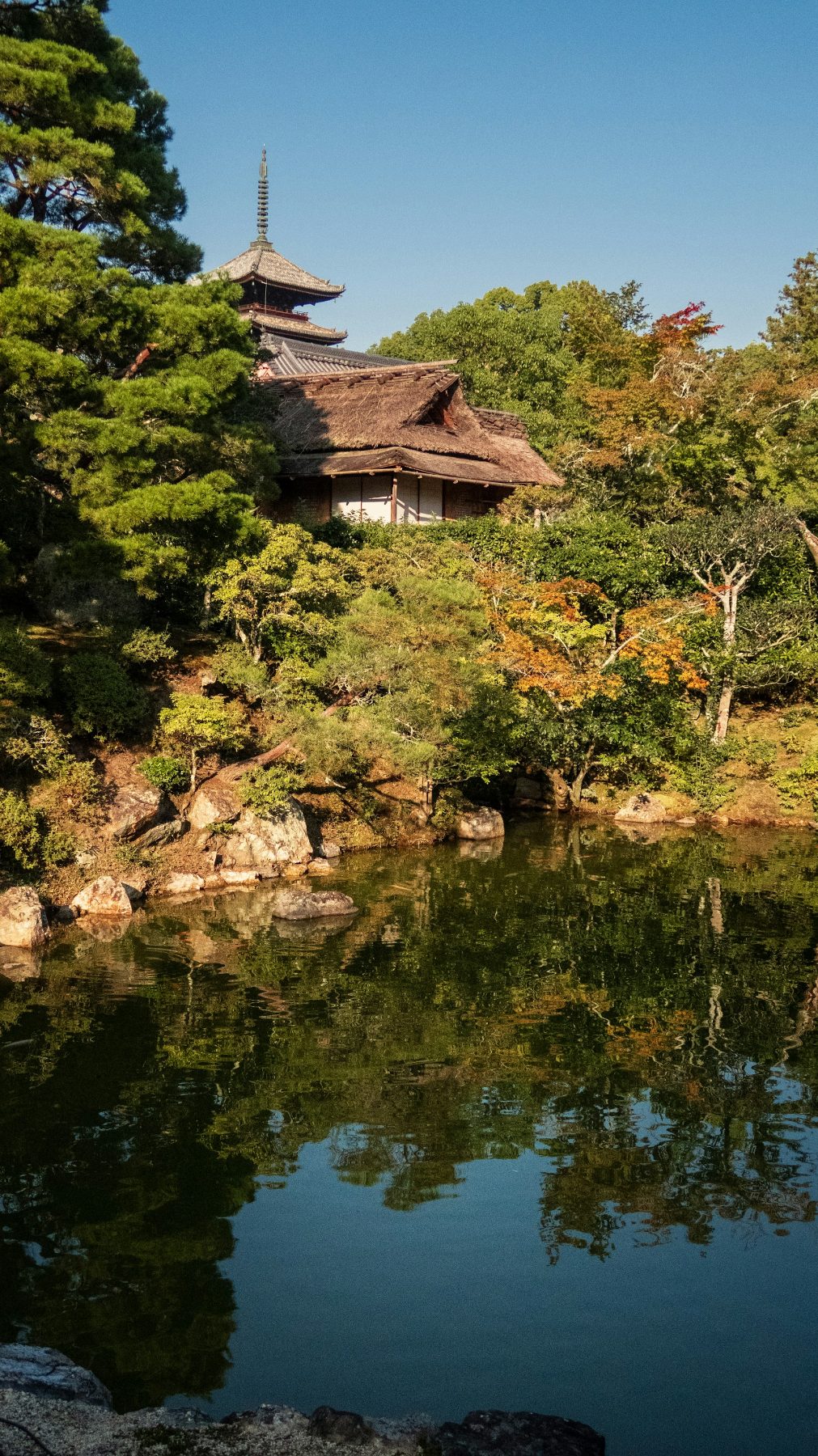 Kyoto Garden Evening, second view