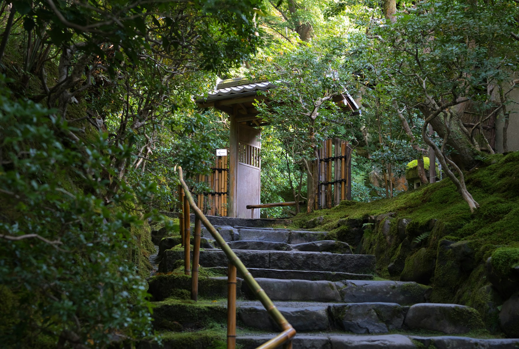 Kyoto Garden Evening
