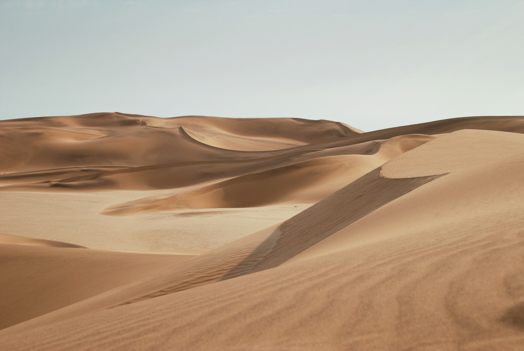 Namib Dune Crossing