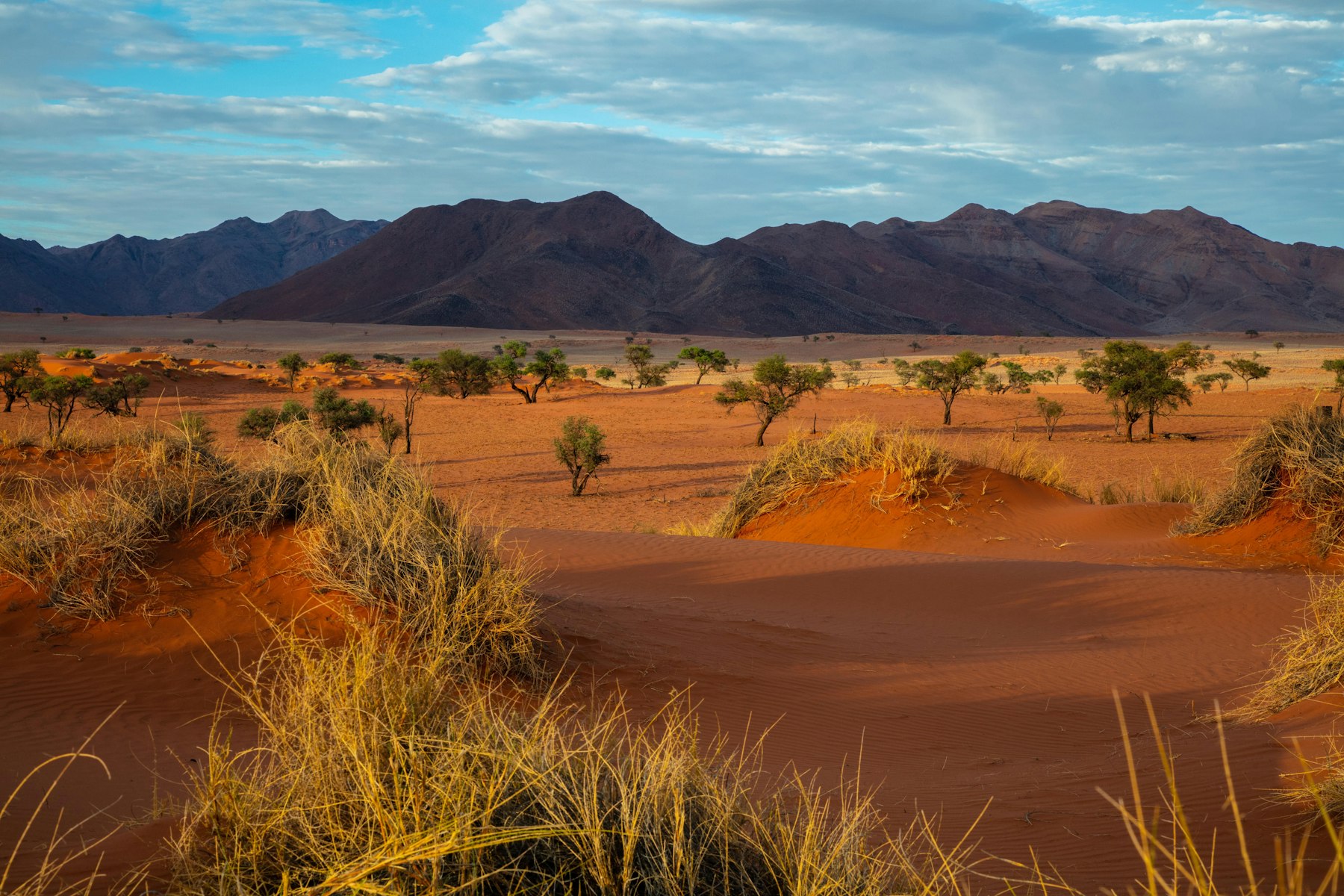 Namib Dune Crossing, second view