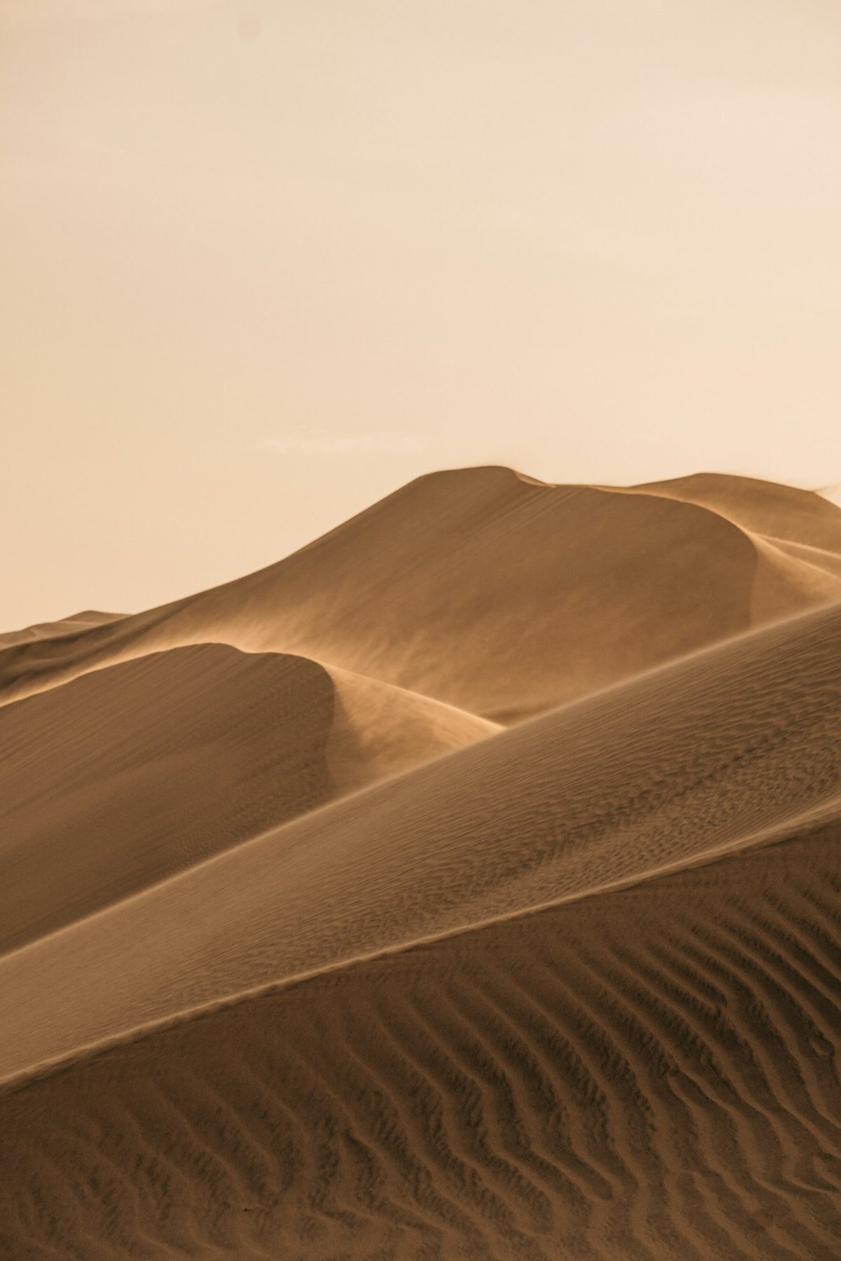 Namib Dune Crossing