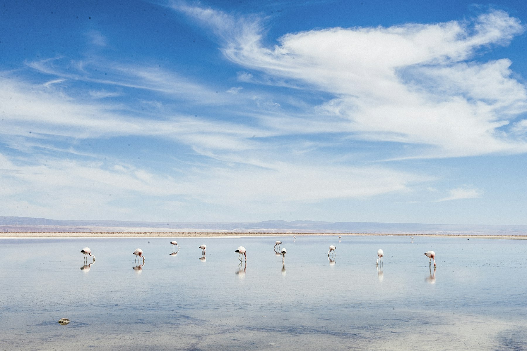 Atacama Salt Flats