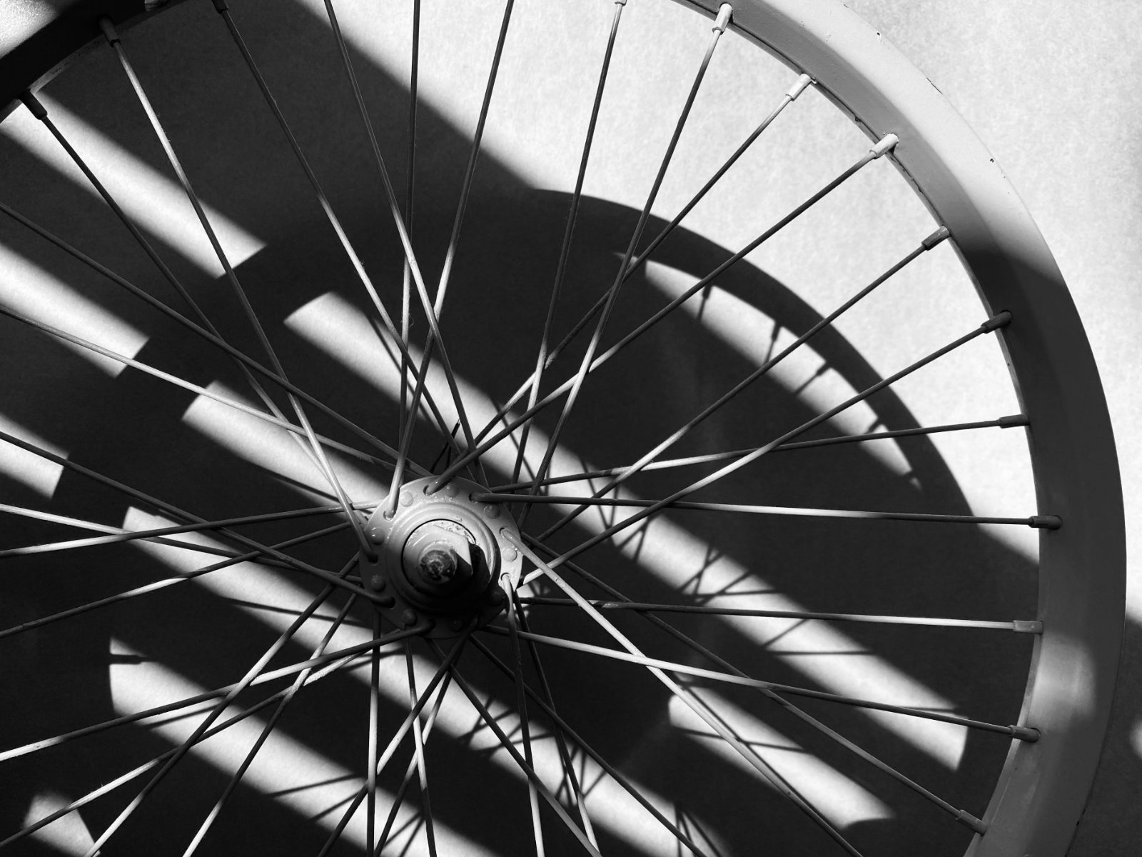 Black and white bicycle wheel with the shadow of its spokes on a wall