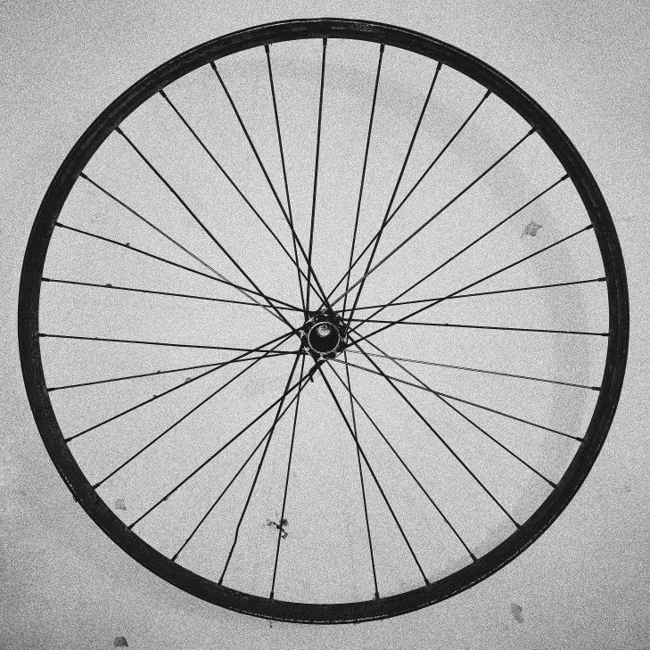 Black and white bicycle wheel hanging on a pale wall