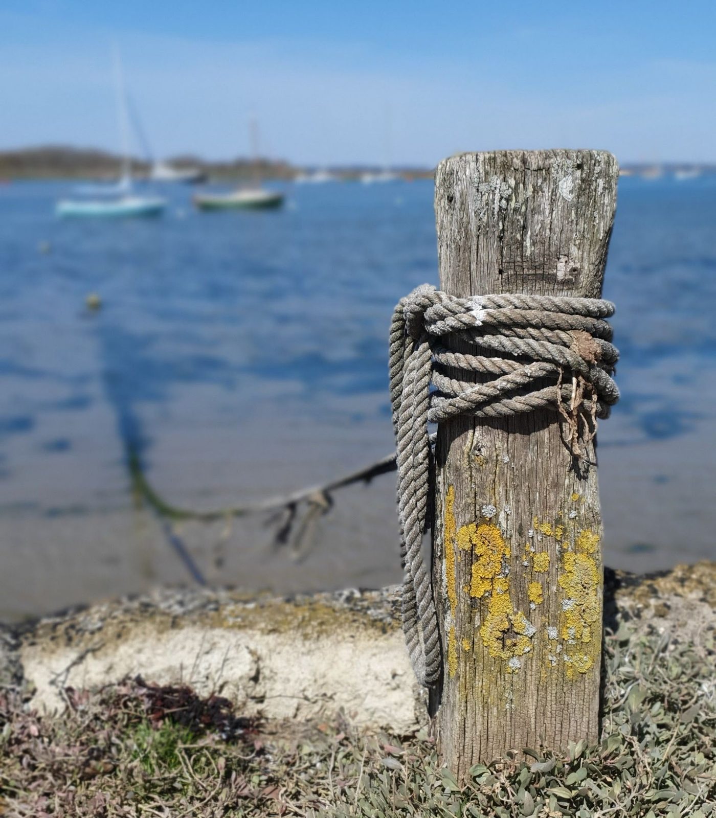 A weathered mooring post wrapped in rope at the water edge