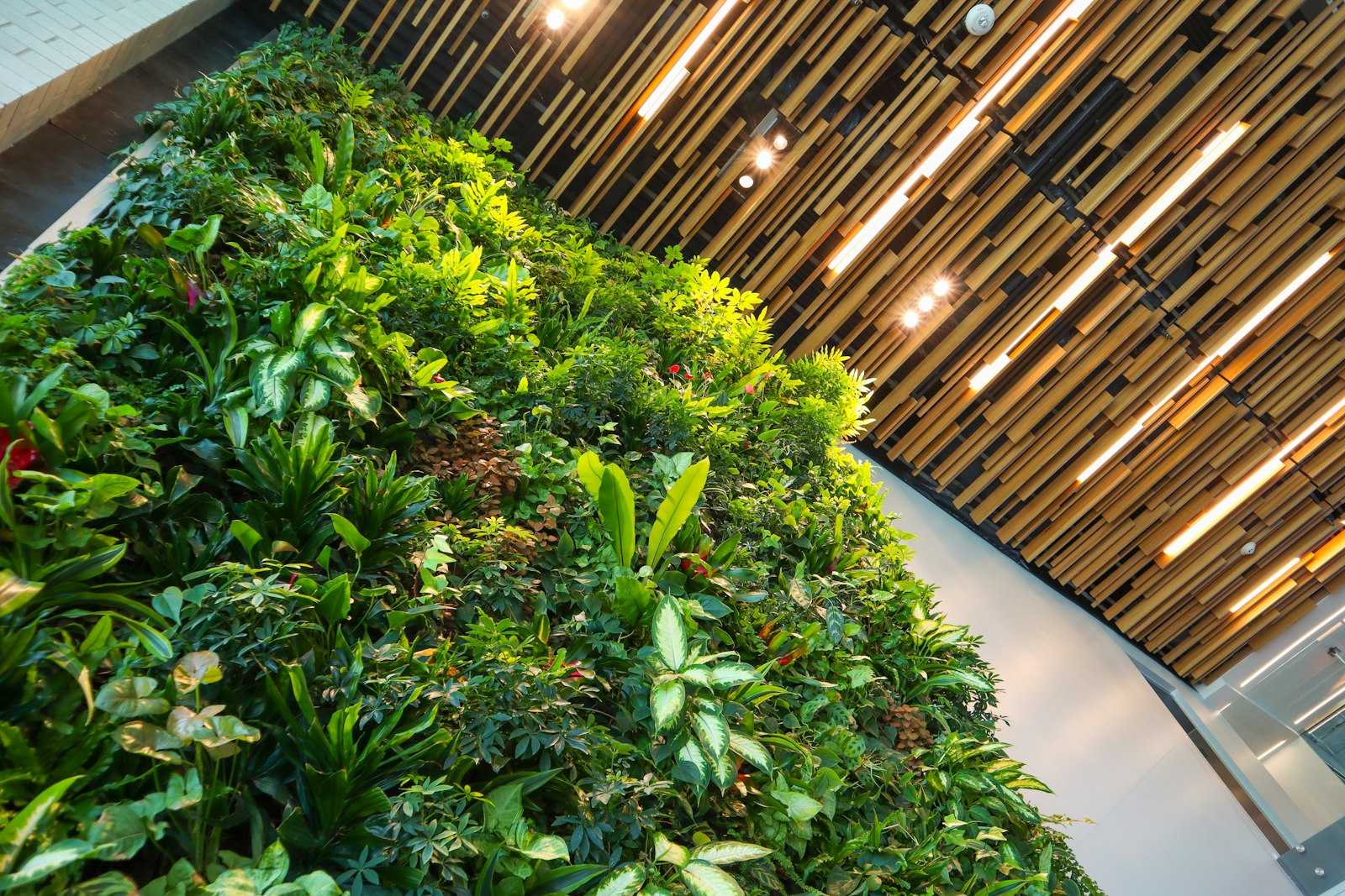 Ironline Lobby Renovation