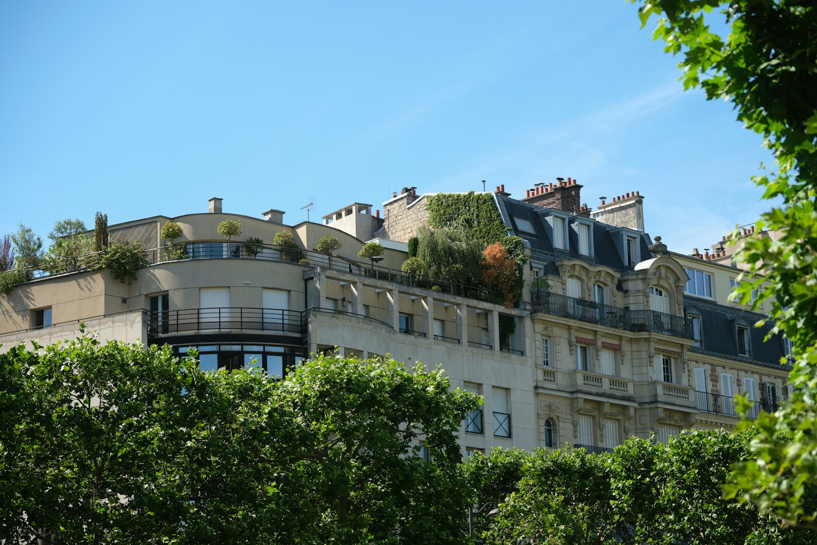 The Marlowe